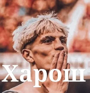 Video sticker 😂 Адепты Бибизяна @Ctikerubot