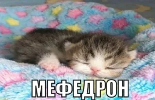 Video sticker 🌟 Кошмарка страшилка :: @fStikBot