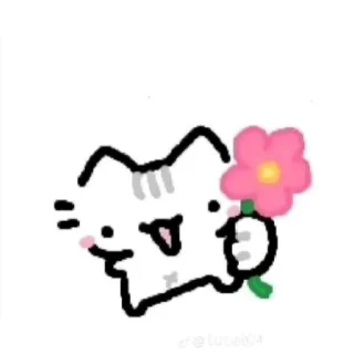 Video sticker 🌸 🐱 :: @fStikBot