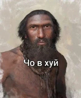 Телеграм стикер 🌟 чисто goat :: @fStikBot