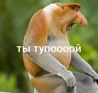 Video sticker 🌟 чисто goat :: @fStikBot