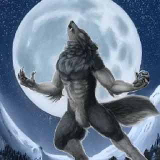 Telegram sticker 🐺 Больше стиков тут: @stikery4