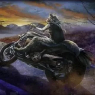 Video sticker 🐺 Больше стиков тут: @stikery4