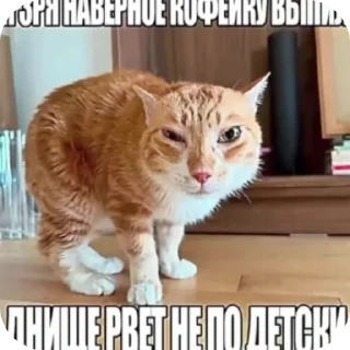 Telegram sticker 👍 Я уже красный
