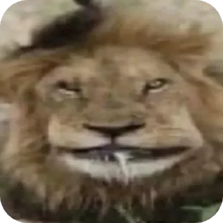 Telegram sticker 👍 Я уже красный