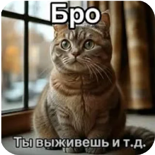 Sticker 🐱 Я уже красный