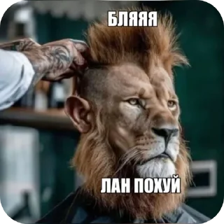 Telegram sticker 🖼 Я уже красный