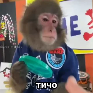 Video sticker 😱 бібізянки 3 :: @fStikBot