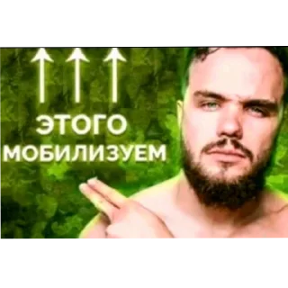 Video sticker 💇 Лучший пак на планете (наверное)