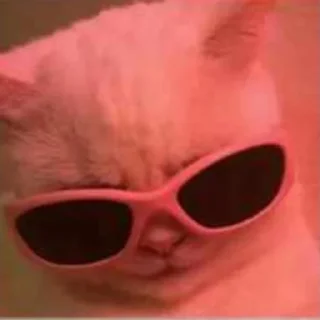 Telegram sticker 🧸 @IALVV