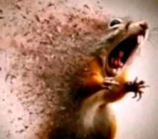 Telegram sticker 🤩 Кринжатина @ckladstikerov7