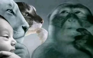 Telegram sticker 🤩 Кринжатина @ckladstikerov7