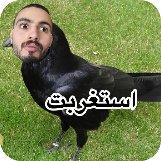 Video sticker 💇 مورا للسماجه القاتله 🔥 @Mora_less