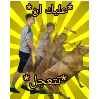 Telegram sticker 🖼 مورا للسماجه القاتله 🔥 @Mora_less