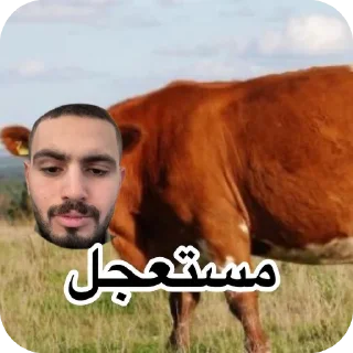 Video sticker 💇 مورا للسماجه القاتله 🔥 @Mora_less