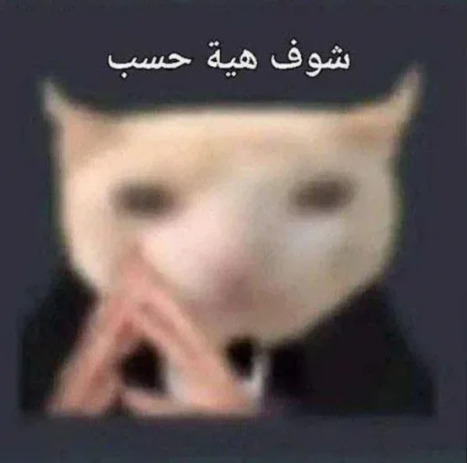 Telegram stiker 🤨 لــ  part 2 ㅤㅤ@mi_5_m