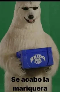 Telegram sticker 🐻 Gaboshitpostpack