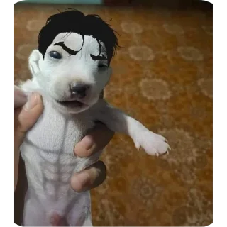 Telegram stiker 🙂 Hahaha