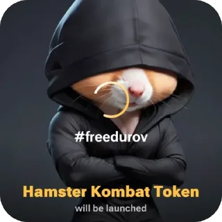 Video sticker 🫥 на кандициях