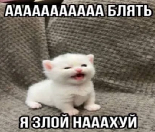 Telegram sticker 🌟 Хуита :: @fStikBot