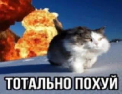 Telegram sticker 🌟 Хуита :: @fStikBot