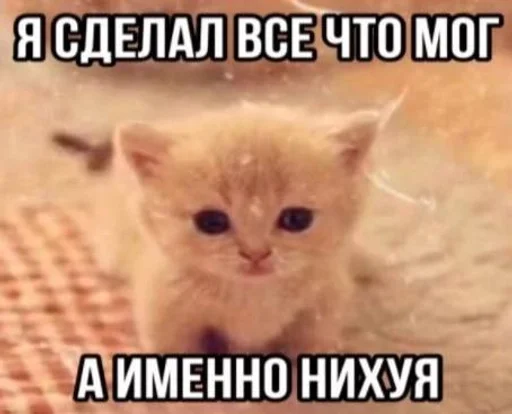 Telegram sticker 🌟 Хуита :: @fStikBot