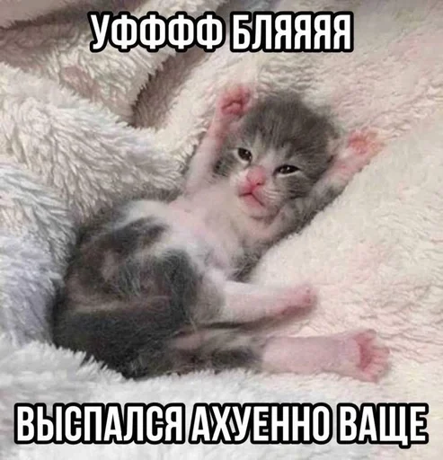 Telegram sticker 🌟 Хуита :: @fStikBot