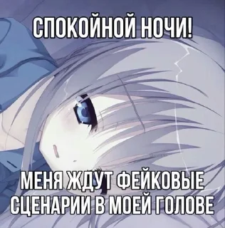 Video sticker 🌟 Шакал Ебучий, автор: @Tubaretnick