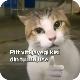 Video sticker 🐱 Batttamiz