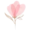 Sticker 🌷 тут уютно ⋆ 𐙚   @mutawwa