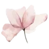 Sticker 🌸 тут уютно ⋆ 𐙚   @mutawwa