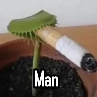 Video sticker 😢 اینجا آرزو های Yaya دفن شده است