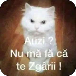 Телеграм стикер 🫥 Scârț