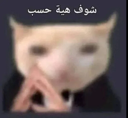Telegram sticker 🔥 الدكتور بكر @b01_l