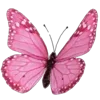 Sticker ❤️ cute pink ➜ @emoji1