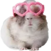 Video sticker ❤️ cute pink ➜ @emoji1