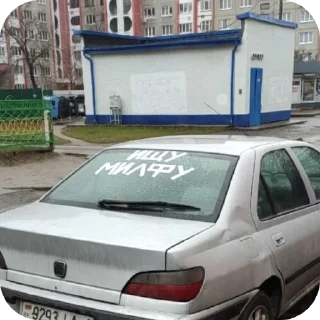 Video sticker 🚗 Мишка кишка