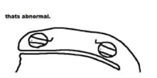 Video sticker 😠 Flork of cows P12 @StickerCnl