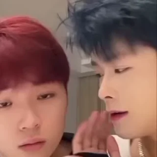 Video sticker 🌟 gay :: @fStikBot