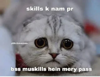 Telegram sticker ✨ @gifssquad