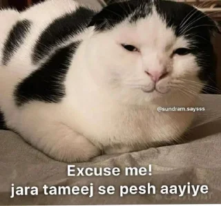 Video sticker ✨ @gifssquad