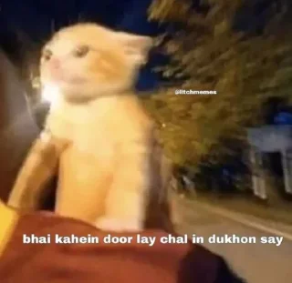 Video sticker ✨ @gifssquad