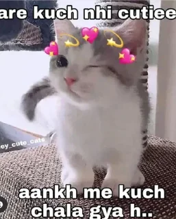 Telegram sticker ✨ @gifssquad