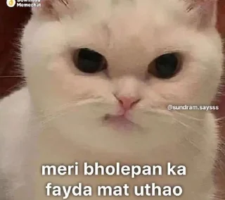 Telegram sticker ✨ @gifssquad