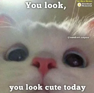 Sticker ✨ @gifssquad