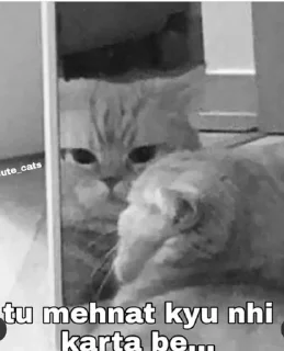 Telegram sticker ✨ @gifssquad