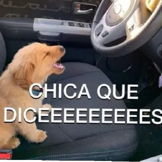 Video sticker 🪘 Favoritos de 𝕬𝖑𝖊𝖏𝖆𝖓𝖉𝖗𝖔 (@CalsiBot)