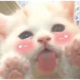 Telegram sticker 🥵 Favoritos de 𝕬𝖑𝖊𝖏𝖆𝖓𝖉𝖗𝖔 (@CalsiBot)