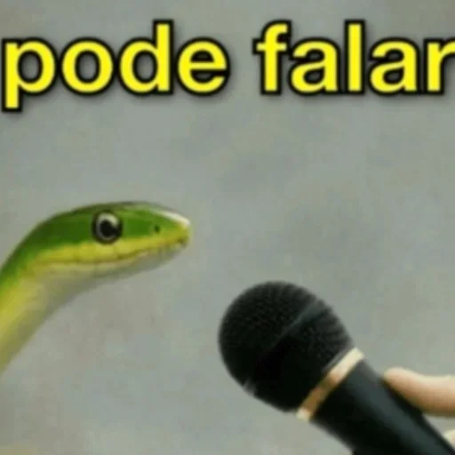 Sticker 🐍 Exclusivo da Japa :: @fStikBot