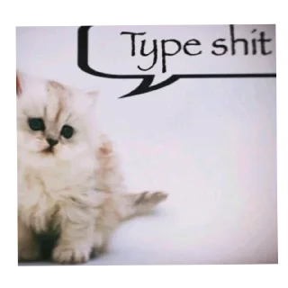 Video sticker 🐱 Kenshakoz